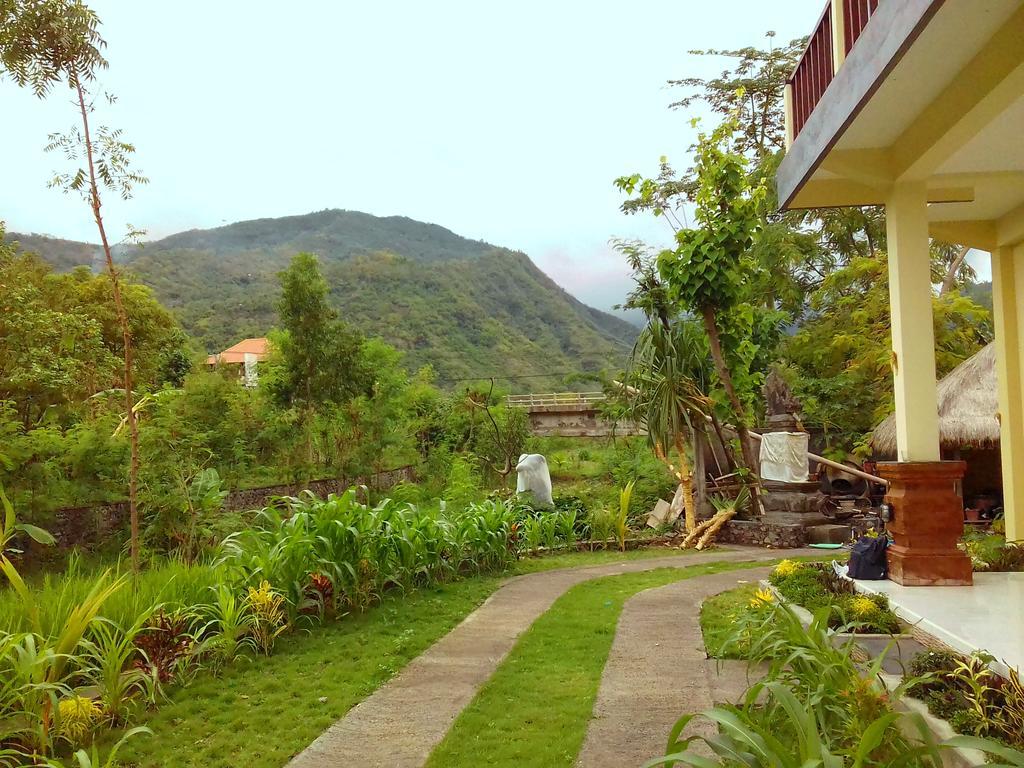 Taman Padi Villa Amed Buitenkant foto