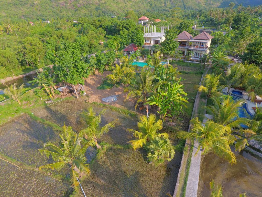 Taman Padi Villa Amed Buitenkant foto