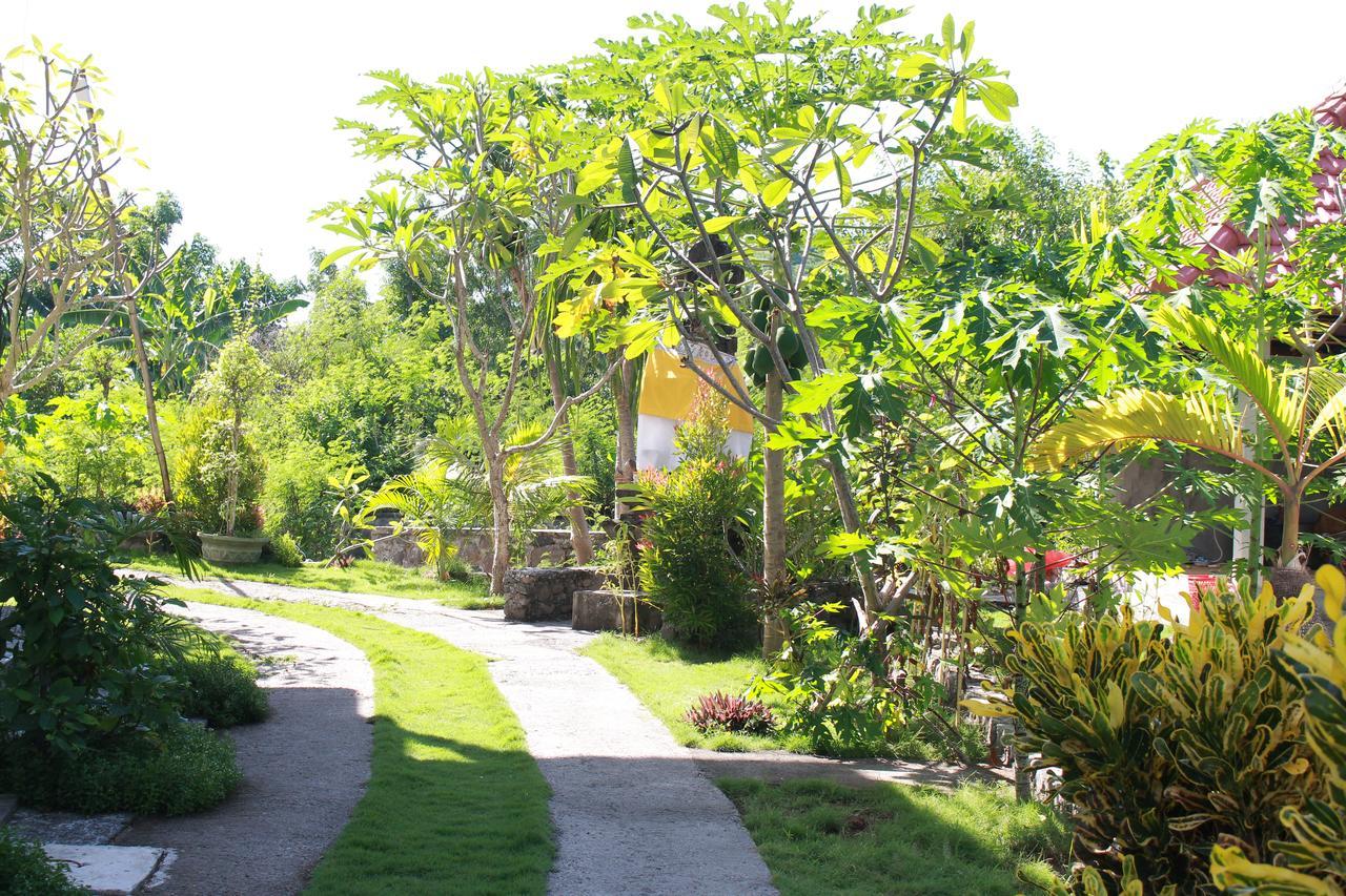 Taman Padi Villa Amed Buitenkant foto