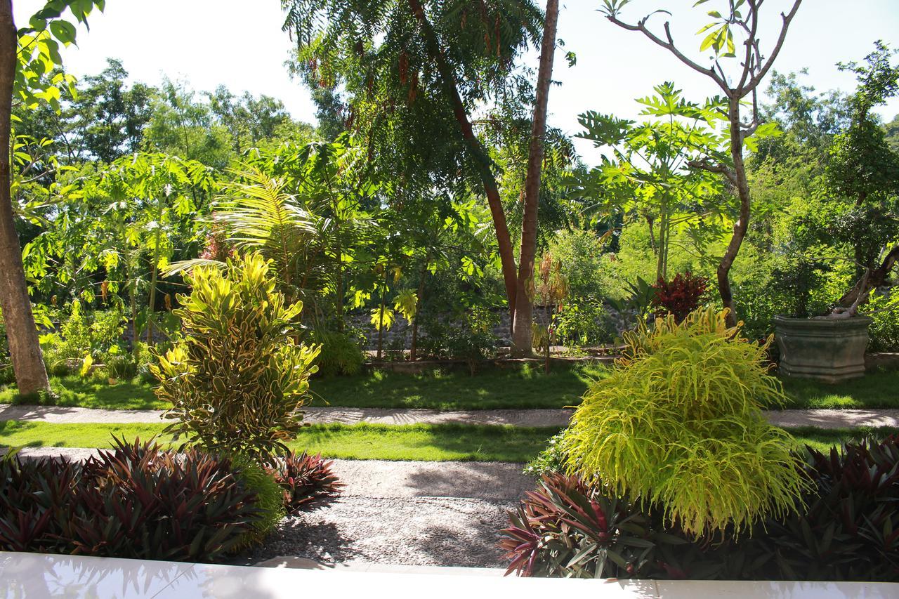 Taman Padi Villa Amed Buitenkant foto