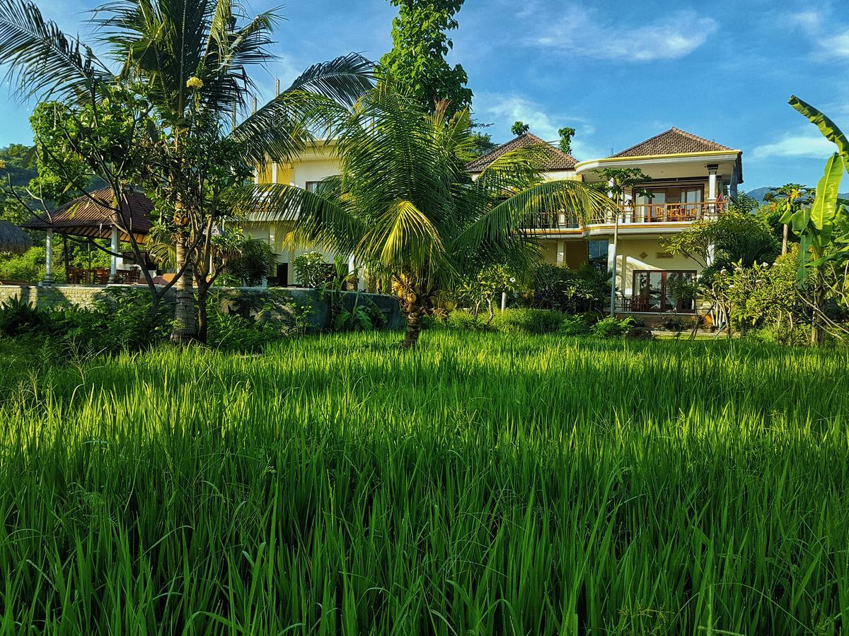 Taman Padi Villa Amed Buitenkant foto