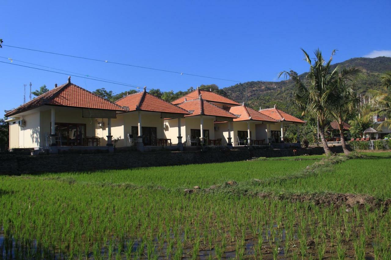 Taman Padi Villa Amed Buitenkant foto